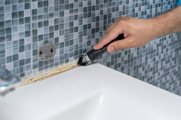 Best Mold Remediation for Schools in Cokato, MN